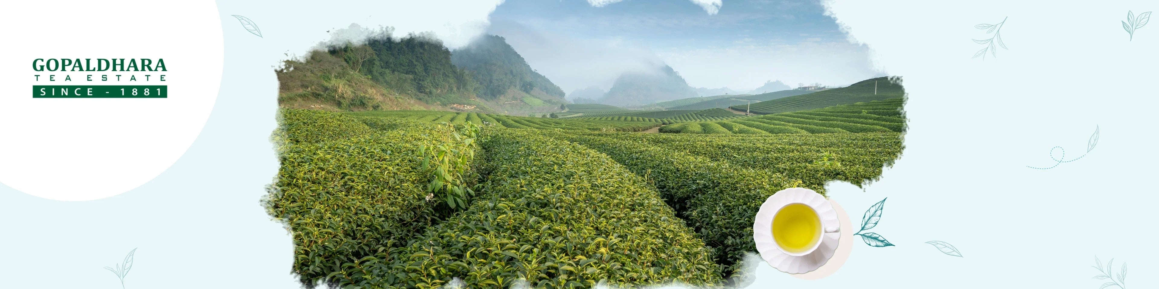 Gopaldhara Tea