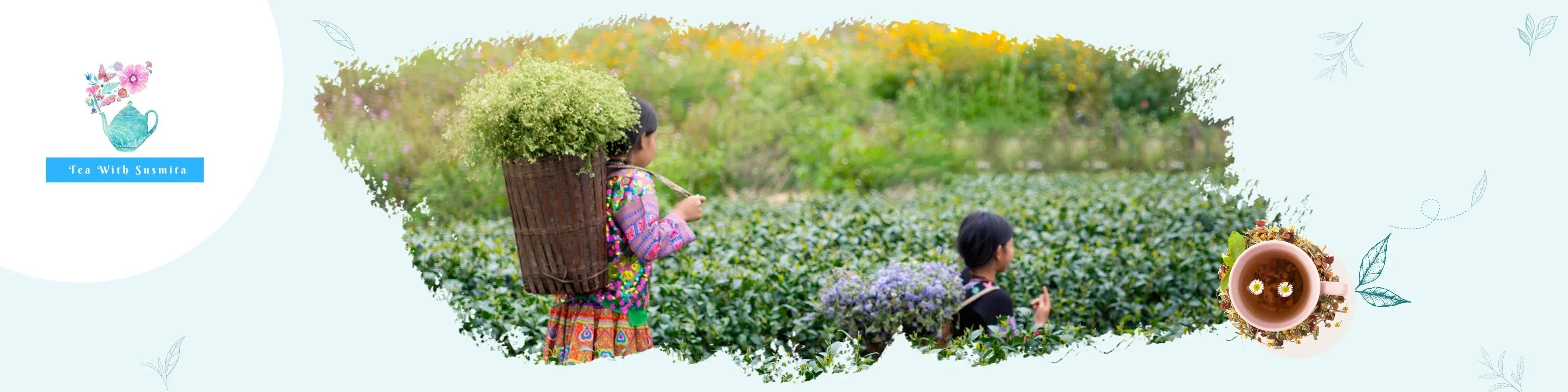 Welcome to Tea with Susmita