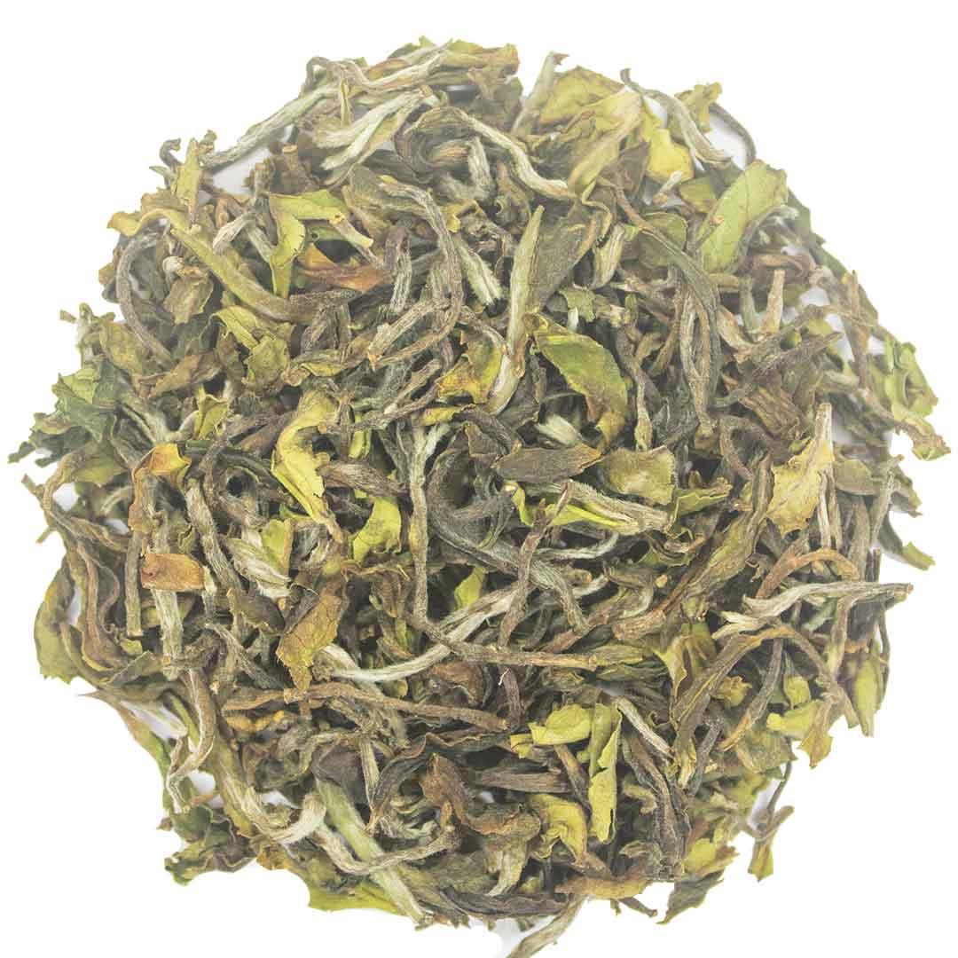 Darjeeling Spring Baozhong Dry Tea Leaves