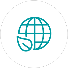 Global Reach, Local Roots