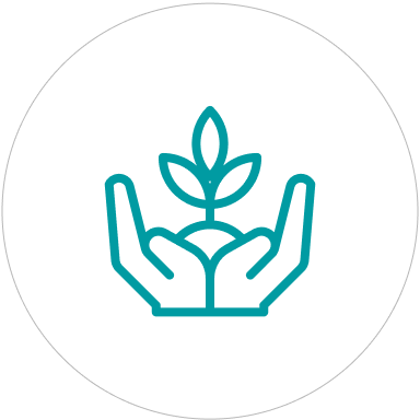 Supporting Tea Gardens & Brands