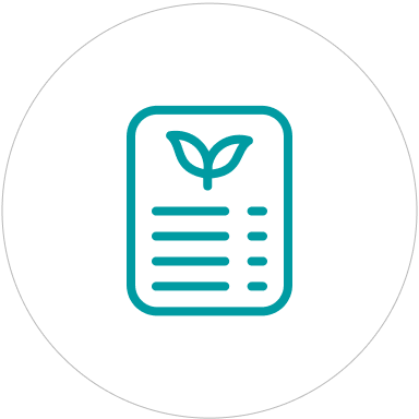 Curated Collections