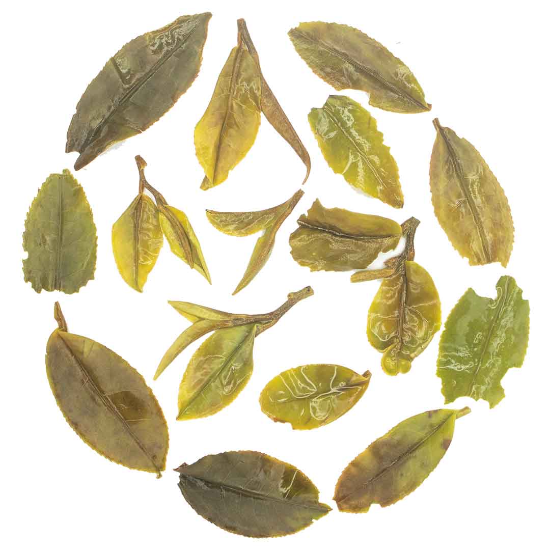 Herbaceous Spring Delight Tea Infusion