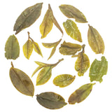 Herbaceous Spring Delight Tea Infusion