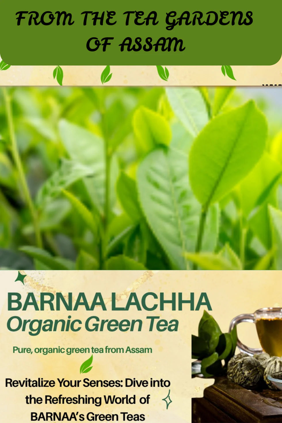 Barnaa Lachha Organic Green Tea Leaves