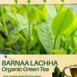 Barnaa Lachha Organic Green Tea Leaves