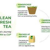 Deroi Tea Journey from Farm to Cup Chart