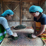 Forest Pick Manipur Wild Oolong Tea – Handcrafted Rare Tea from the Hills of Manipur