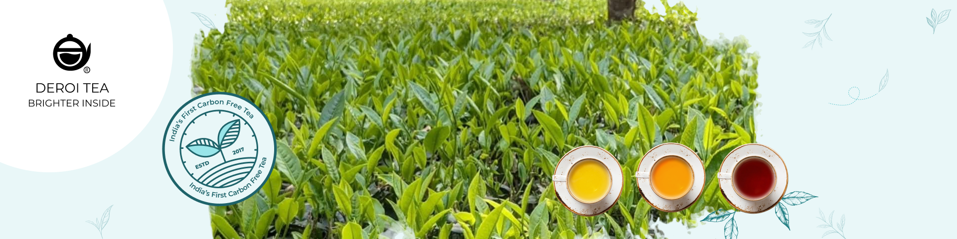 Deroi Tea