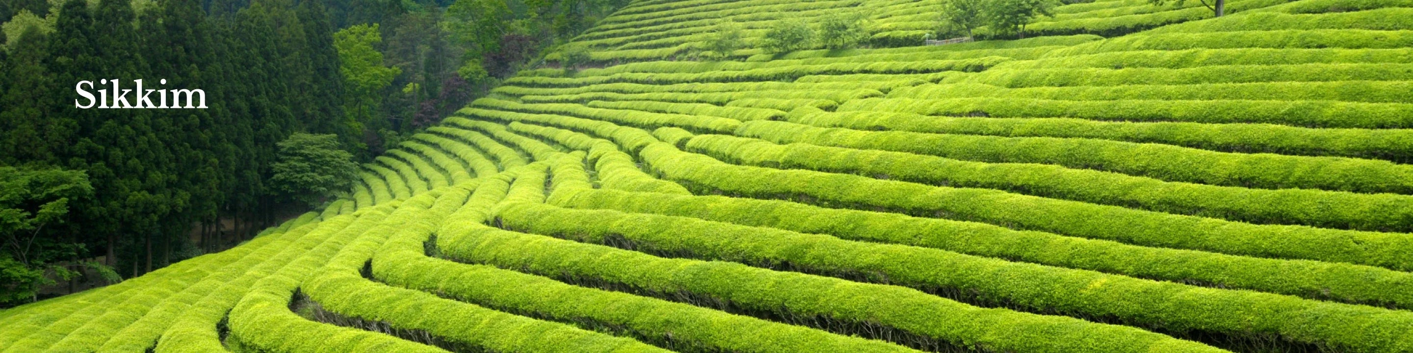 Sikkim