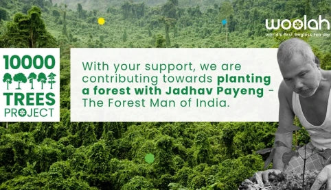 Woolah Tea Support 10000 Trees Project