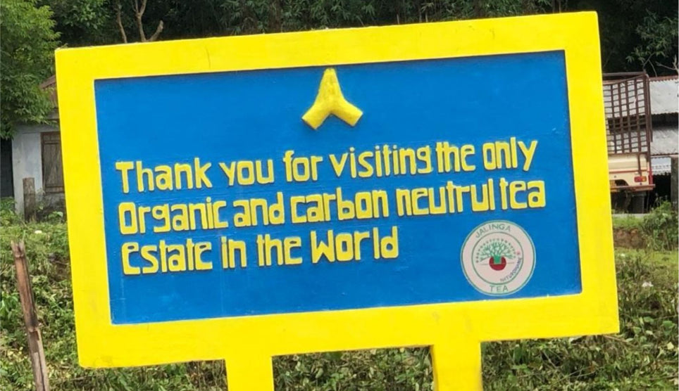 Jalinga — Organic and Carbon-neutral tea estate