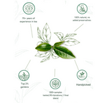 1950 Origins Darjeeling Green Tea Leaf Illustration