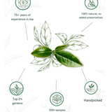 1950 Origins Darjeeling Mist Long Leaf Tea
