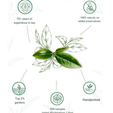 1950 Origins Golden Dusk Long Leaf Tea