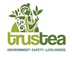 Certification Image 2