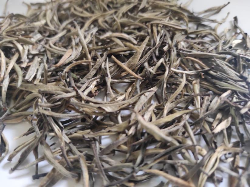 Aromica Pearl Dry Tea Leaves