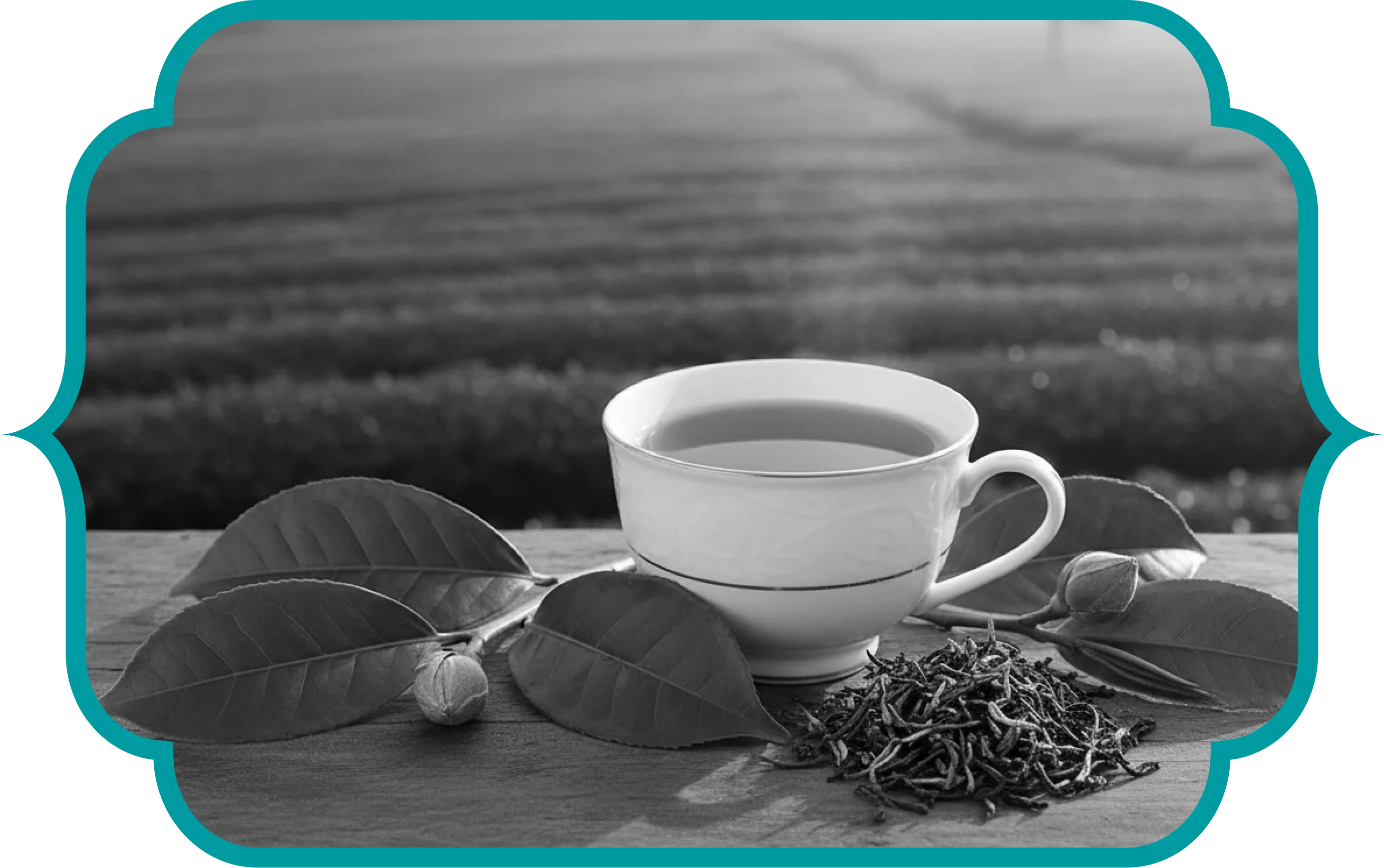 About Beteaya Tea