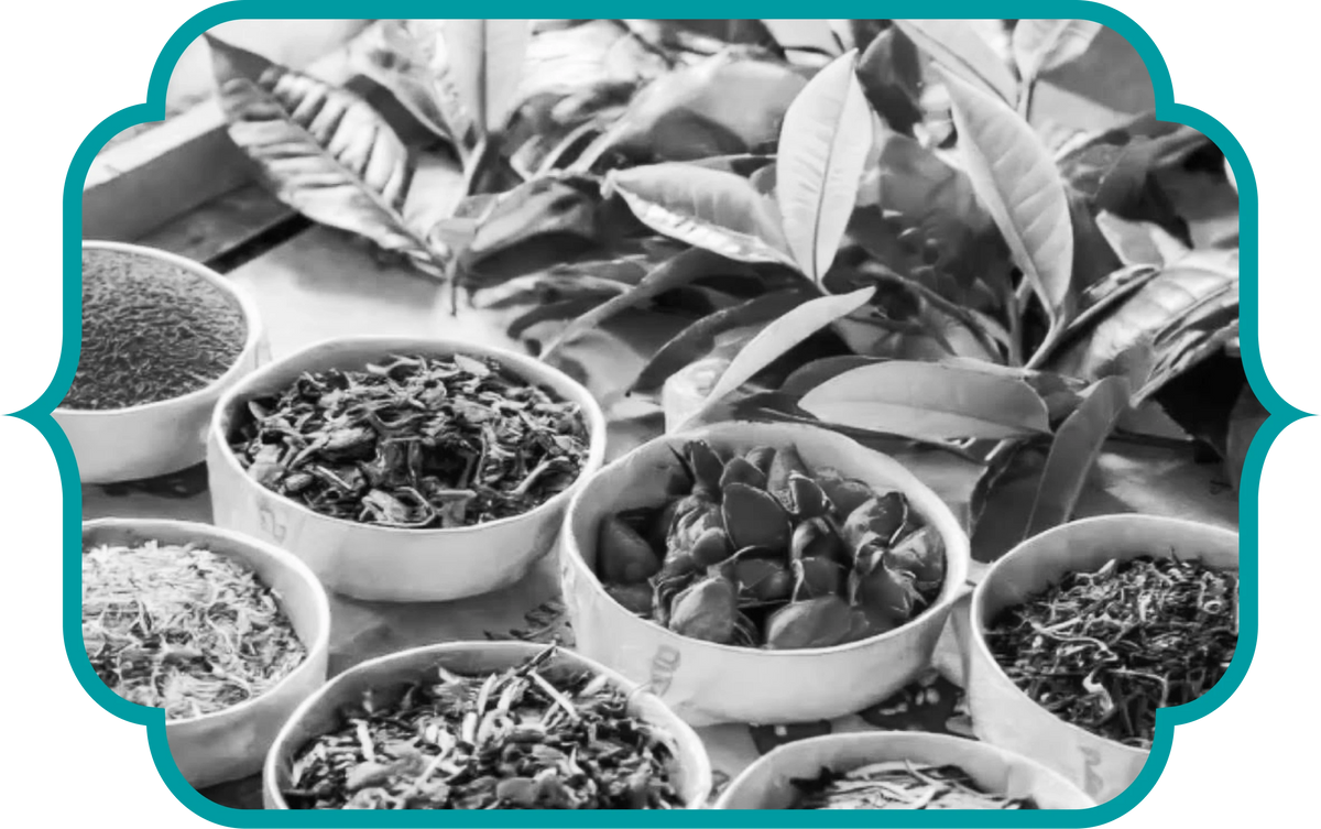 About Moitree Enterprises