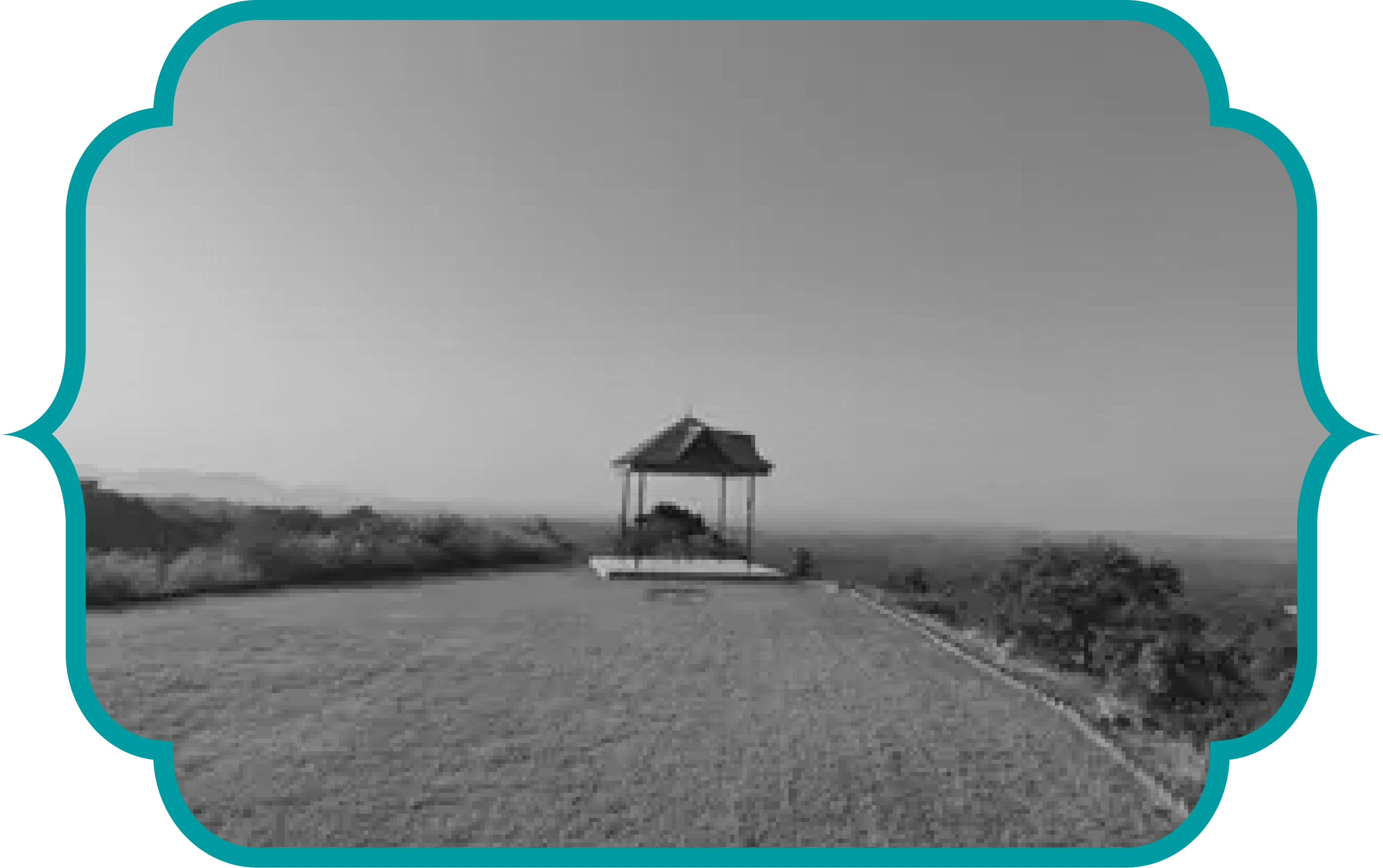 About Planet Ayurveda