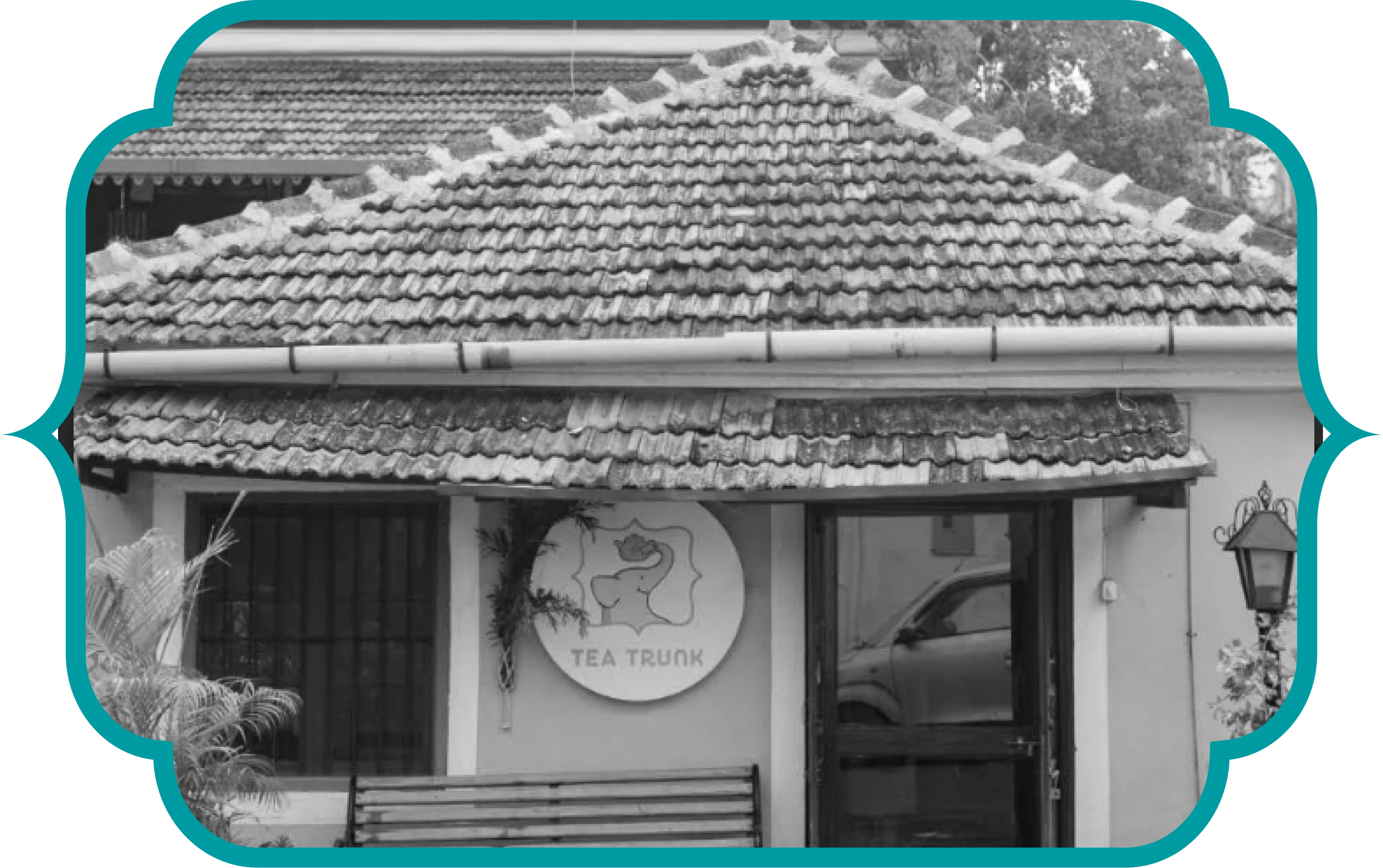 About Tea Trunk