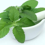 Tulsi Leaves