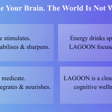 Barnaa Lagoon Cognitive Wellness Drink - Boost Focus, Memory & Mental Clarity