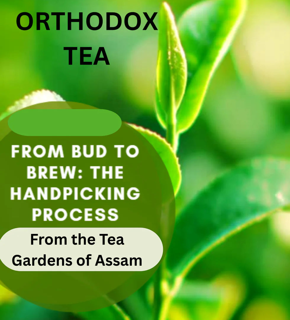 Barnaa Orthodox Assam Tea Leaves