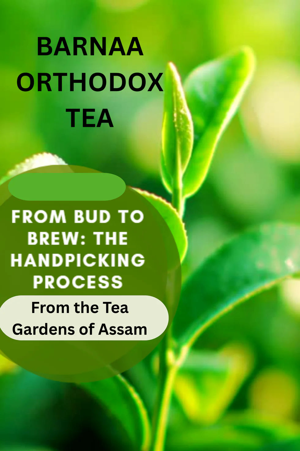 Barnaa Orthodox Assam Tea Leaves