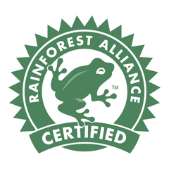 Certification Image 5