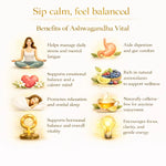 Benefits of Ashwagandha Vital