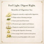 Benefits of Brinita Digestion Elixir Green Tea