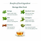 Benefits of Moringa Mint Fresh Ingredient