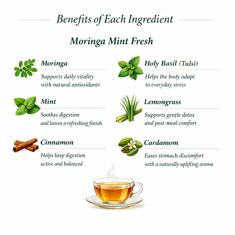 Benefits of Moringa Mint Fresh Ingredient