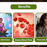 BrewTales Goddess's Gift Organic Green Tea Blend of Chamomile, Mugwort and Aromatic Herbs for Menstrual Comfort