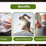 BrewTales Slimming Serpent Brew Benefits