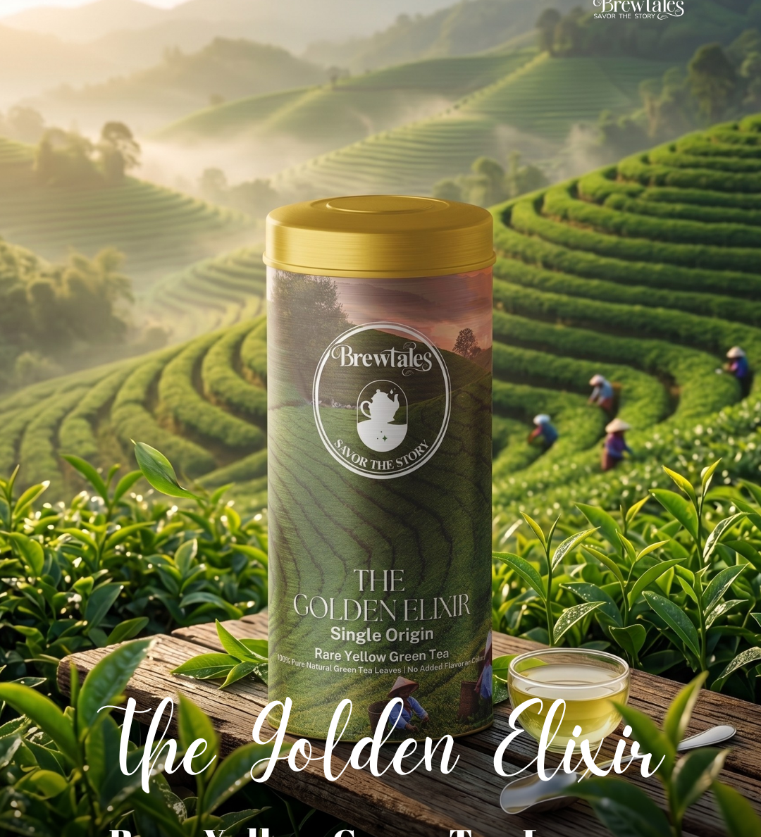 BrewTales The Golden Elixir Tea