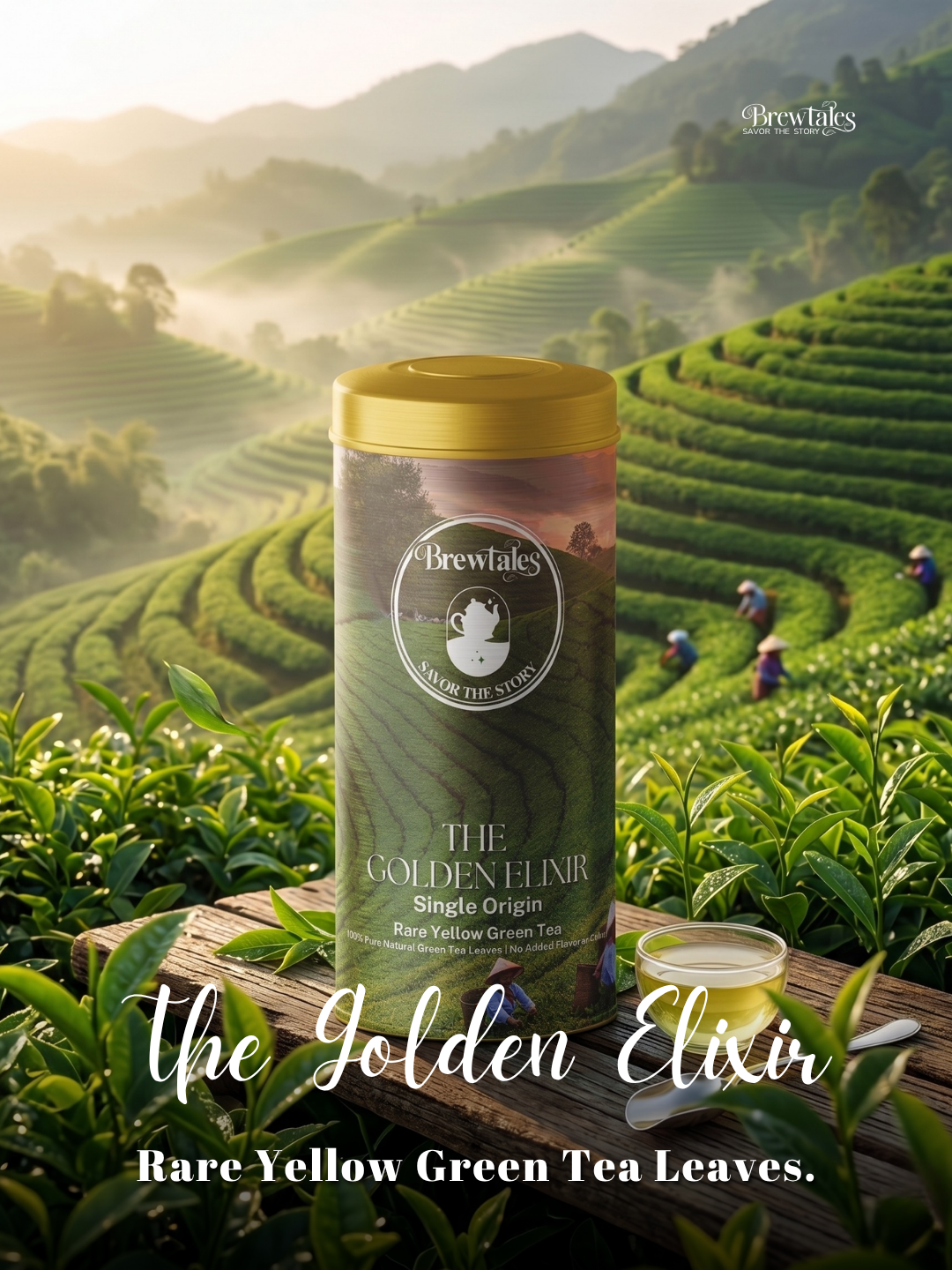 BrewTales The Golden Elixir Tea