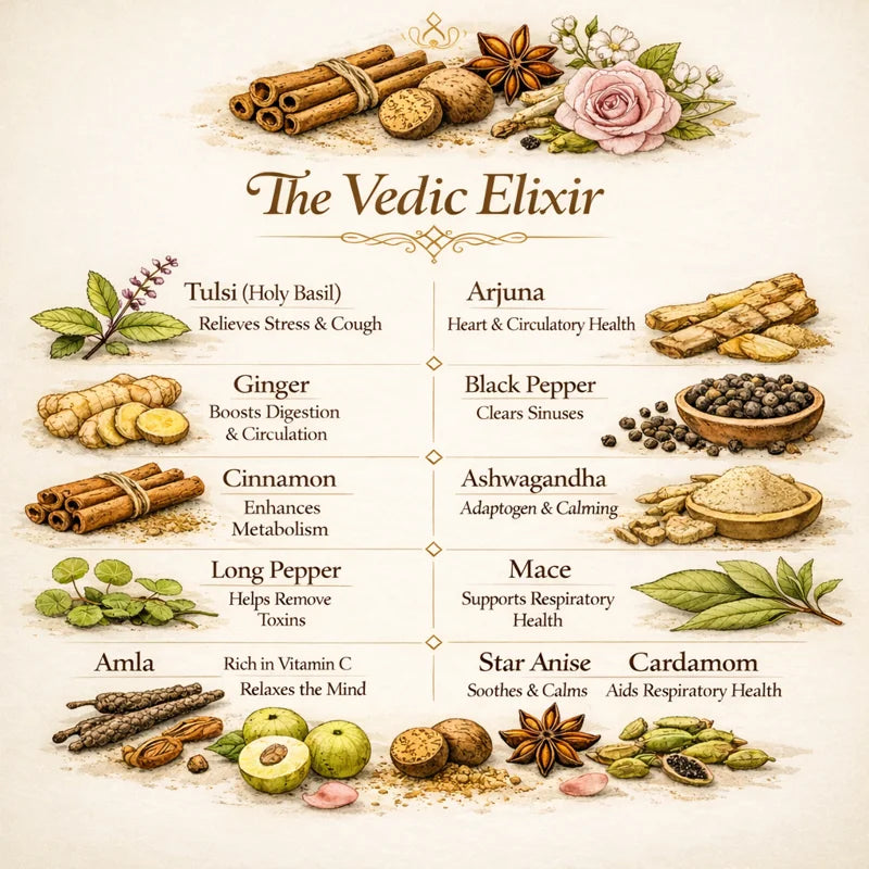 Brinita The Vedic Elixir Herbal Tisane