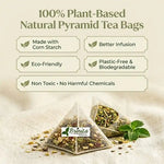 Brintra 100% Plant-Based Natural Pyramid Tea Bags