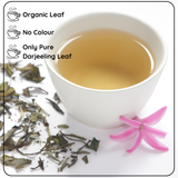 CALMING Organic Darjeeling White Leaf Tea - Relax and Improve Focus Naturally