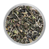 Chai Chun Moonshine First Flush Green Tea — A Silky Sip of Darjeeling Spring