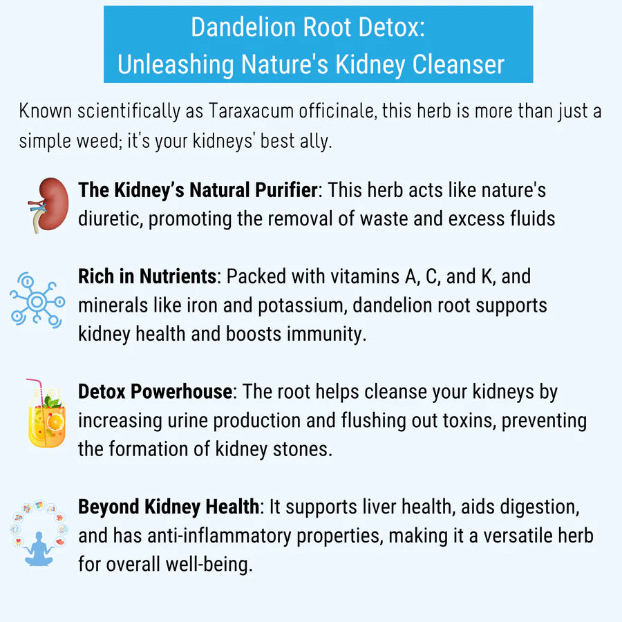Dandelion Root Detox