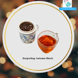 TWS Darjeeling Autumn Flush Black Tea