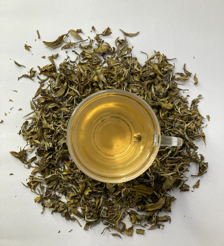 Darjeeling Premium White Tea