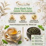 Kangra Tea House DiviniTEA 100% Organic Handcrafted Premium Tulsi First Flush Green Tea-Calming, Healing & Immunity-Boosting