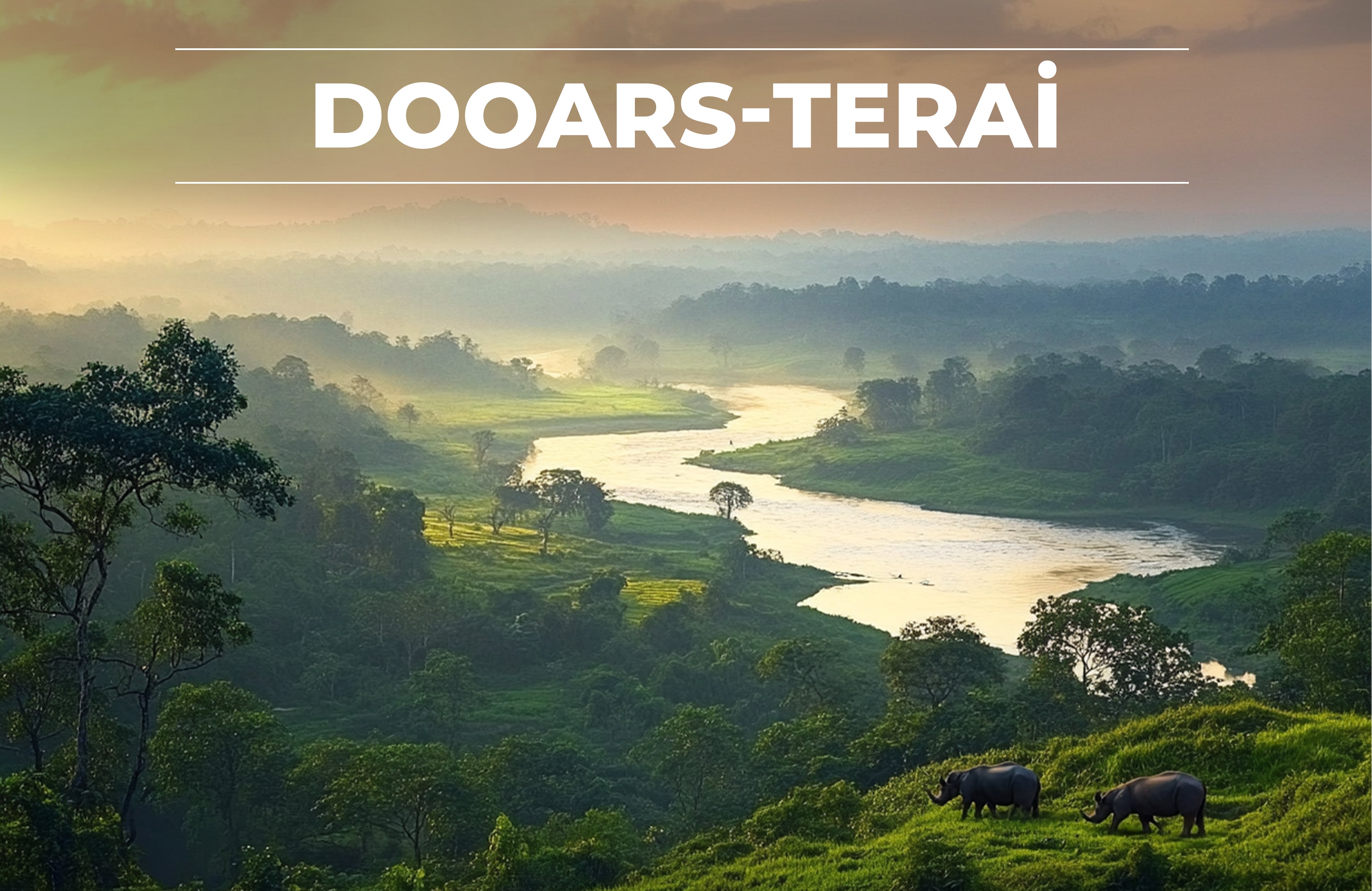 Dooars Terai Tea Region