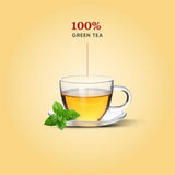 Dorje Teas Monsoon Flush Darjeeling Green Tea | Handpicked through the Himalayan Rains