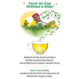 Assam Lush Green Tea by Deroi Tea | 100% Natural Unblended Whole Leaf Green Tea