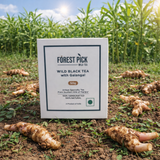 Forest Pick Wild Black Tea with Galangal – Handcrafted Tea from the Forests of Manipur